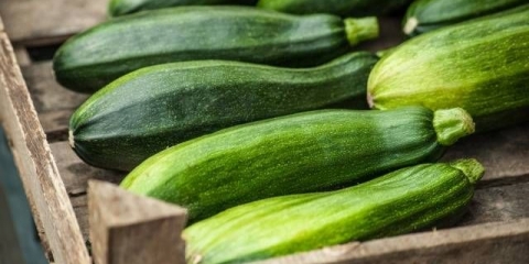 Sorte velikih tikvica